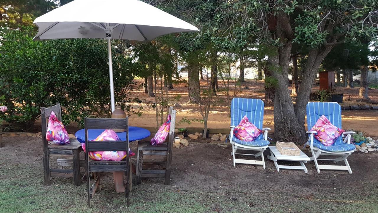 Alpaca Self Catering Cottage كلينموند المظهر الخارجي الصورة